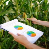 Agriculture Accountants 1